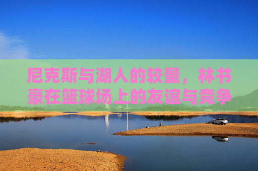 尼克斯与湖人的较量，林书豪在篮球场上的友谊与竞争