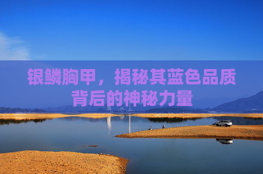 银鳞胸甲，揭秘其蓝色品质背后的神秘力量
