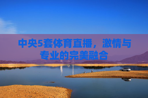 中央5套体育直播，激情与专业的完美融合