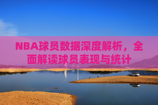 NBA球员数据深度解析，全面解读球员表现与统计
