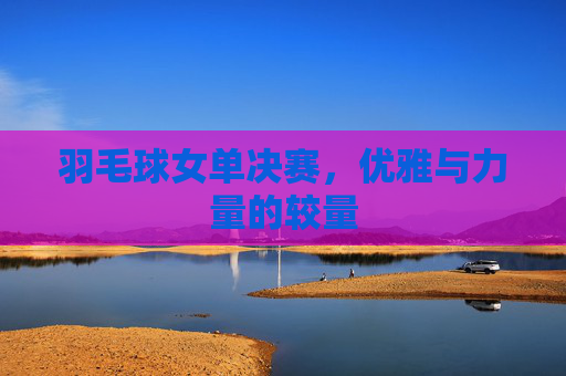羽毛球女单决赛，优雅与力量的较量