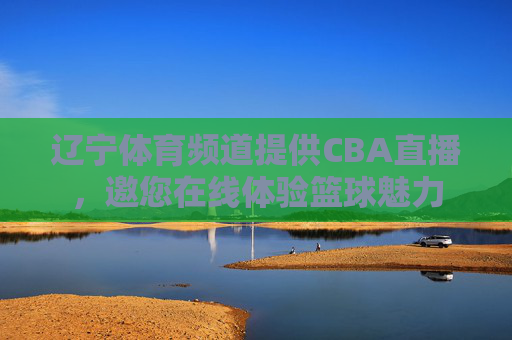 辽宁体育频道提供CBA直播，邀您在线体验篮球魅力