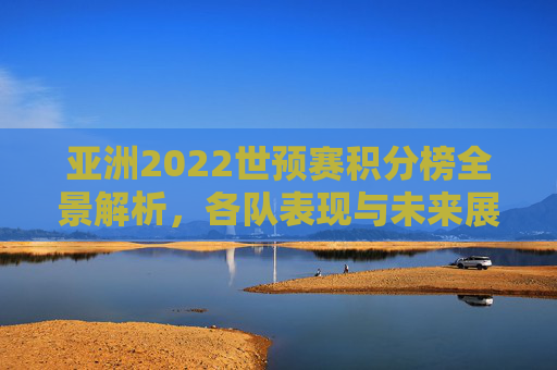 亚洲2022世预赛积分榜全景解析，各队表现与未来展望