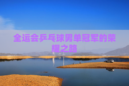 全运会乒乓球男单冠军的荣耀之路 全运会乒乓球男单冠军的荣耀之路