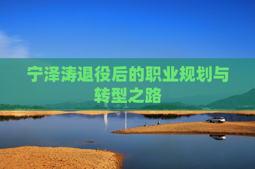 宁泽涛退役后的职业规划与转型之路