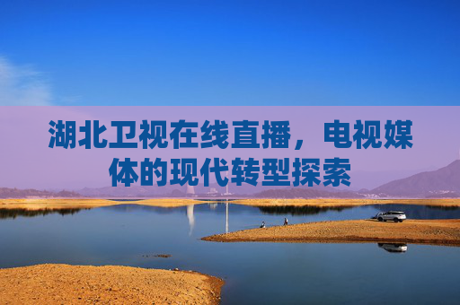 湖北卫视在线直播，电视媒体的现代转型探索