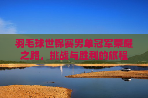 羽毛球世锦赛男单冠军荣耀之路，挑战与胜利的旅程