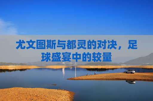 尤文图斯与都灵的对决，足球盛宴中的较量
