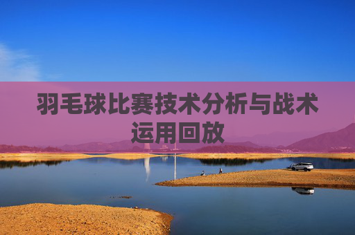 羽毛球比赛技术分析与战术运用回放