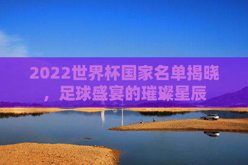 2022世界杯国家名单揭晓，足球盛宴的璀璨星辰