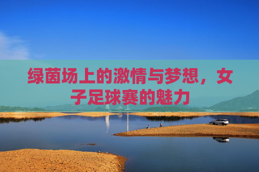 绿茵场上的激情与梦想，女子足球赛的魅力