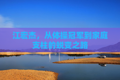 江宏杰，从体操冠军到家庭支柱的蜕变之路