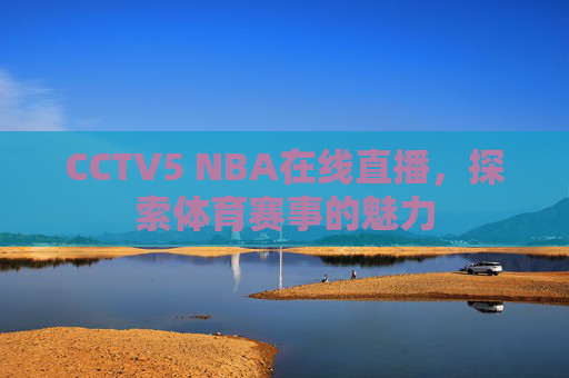 CCTV5 NBA在线直播，探索体育赛事的魅力