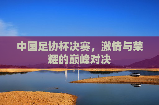 中国足协杯决赛，激情与荣耀的巅峰对决