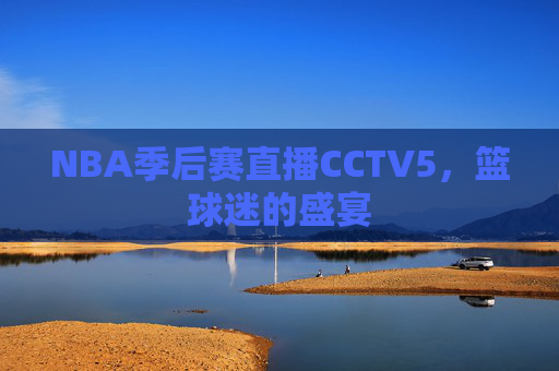 NBA季后赛直播CCTV5，篮球迷的盛宴