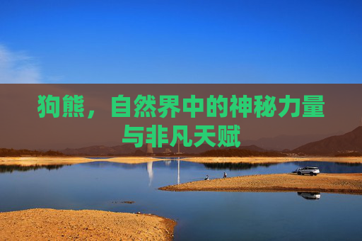 狗熊，自然界中的神秘力量与非凡天赋