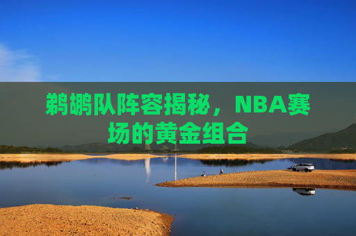 鹈鹕队阵容揭秘,NBA赛场的黄金组合 鹈鹕队阵容揭秘,NBA赛场的黄金组合
