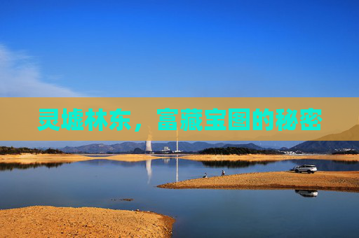 灵墟林东，富藏宝图的秘密
