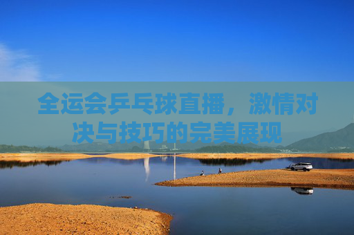 全运会乒乓球直播，激情对决与技巧的完美展现