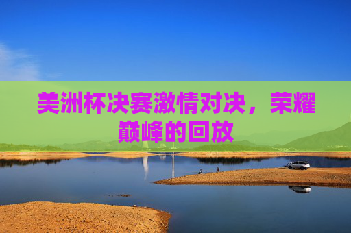 美洲杯决赛激情对决，荣耀巅峰的回放