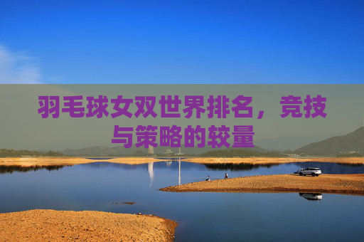羽毛球女双世界排名，竞技与策略的较量