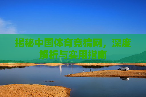 揭秘中国体育竞猜网，深度解析与实用指南