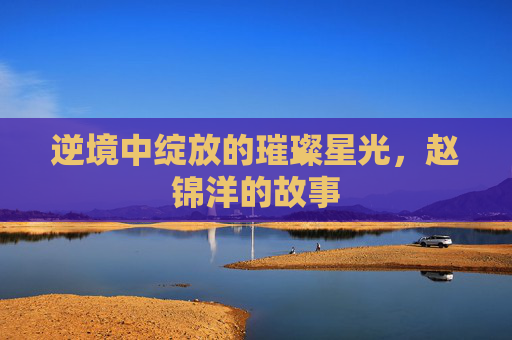逆境中绽放的璀璨星光，赵锦洋的故事