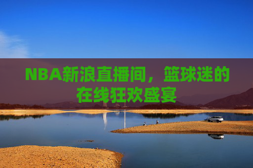 NBA新浪直播间，篮球迷的在线狂欢盛宴