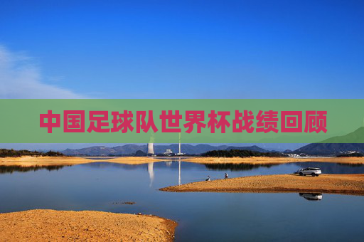 中国足球队世界杯战绩回顾
