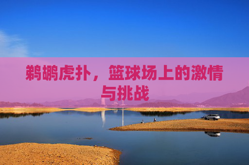 鹈鹕虎扑，篮球场上的激情与挑战