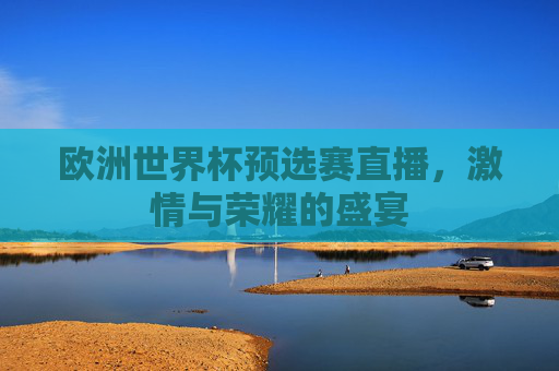 欧洲世界杯预选赛直播，激情与荣耀的盛宴