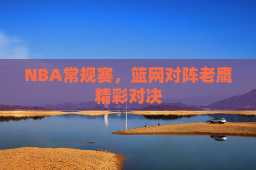 NBA常规赛，篮网对阵老鹰精彩对决