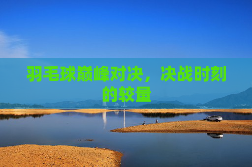 羽毛球巅峰对决，决战时刻的较量