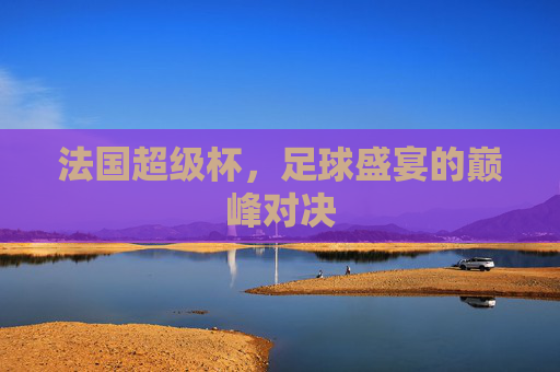 法国超级杯,足球盛宴的巅峰对决 法国超级杯,足球盛宴的巅峰对决