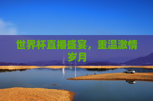 世界杯直播盛宴，重温激情岁月