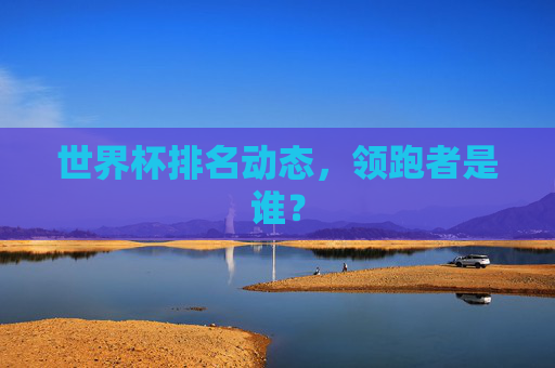 世界杯排名动态，领跑者是谁？