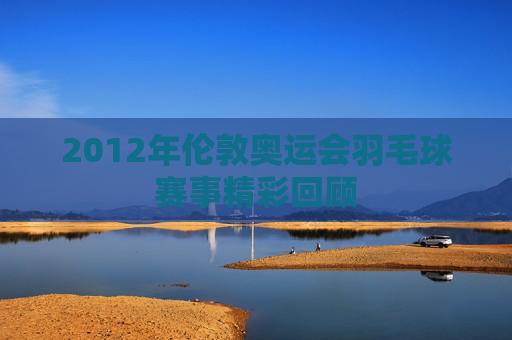 2012年伦敦奥运会羽毛球赛事精彩回顾