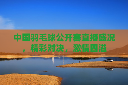 中国羽毛球公开赛直播盛况，精彩对决，激情四溢
