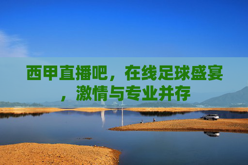 西甲直播吧，在线足球盛宴，激情与专业并存