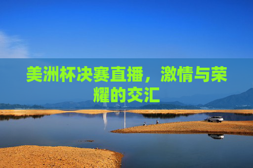 美洲杯决赛直播，激情与荣耀的交汇