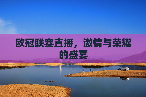 欧冠联赛直播，激情与荣耀的盛宴