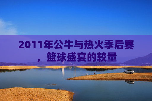 2011年公牛与热火季后赛，篮球盛宴的较量