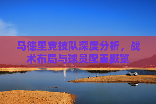 马德里竞技队深度分析，战术布局与球员配置概览
