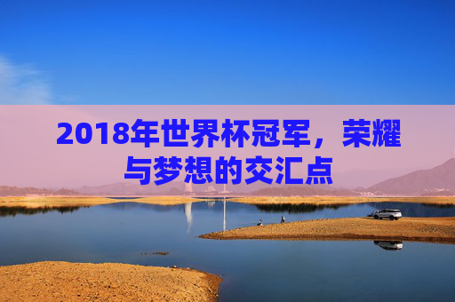2018年世界杯冠军，荣耀与梦想的交汇点