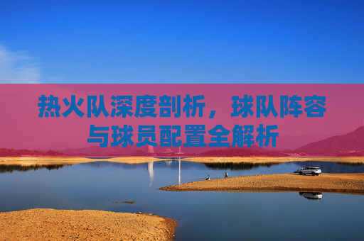 热火队深度剖析，球队阵容与球员配置全解析