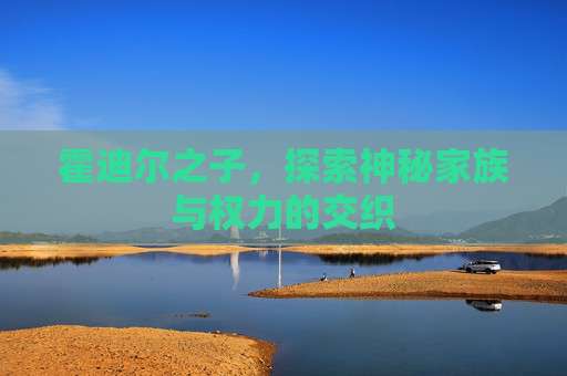 霍迪尔之子，探索神秘家族与权力的交织