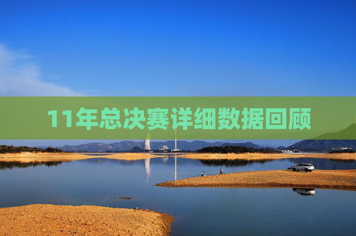 11年总决赛详细数据回顾