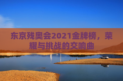 东京残奥会2021金牌榜，荣耀与挑战的交响曲