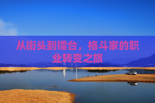 从街头到擂台，格斗家的职业转变之旅