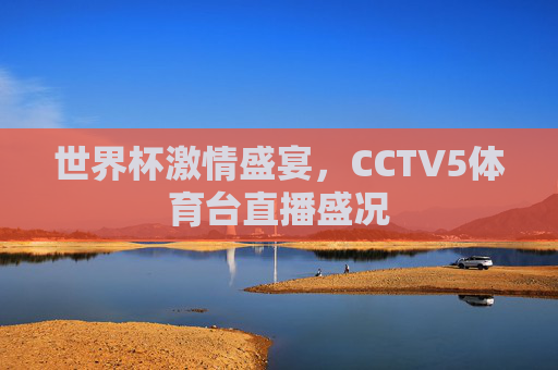 世界杯激情盛宴，CCTV5体育台直播盛况
